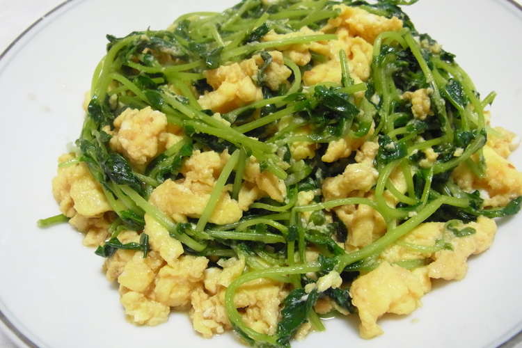 みょうたま 苗玉 豆苗の玉子炒め レシピ 作り方 By イゲラ君 クックパッド 簡単おいしいみんなのレシピが356万品