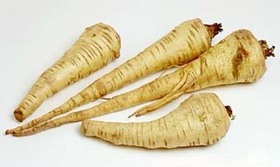 Parsnip soup(パースニップ スープ)