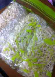 みんなが作ってる 保存食 冷凍のレシピ クックパッド 簡単おいしいみんなのレシピが360万品