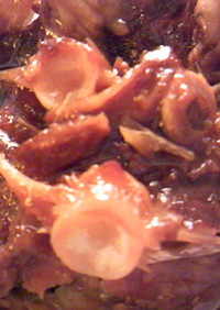 圧力鍋：鮭のアラの醤油生姜煮