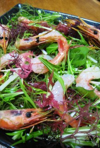 昆布〆甘えびのシャキシャキ海藻サラダ