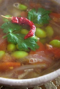 ベトナム★簡単鴨肉の野菜たっぷりスープ