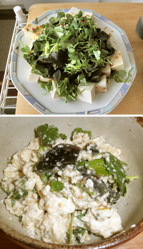 本格中華の味 ～ ピータン豆腐の画像