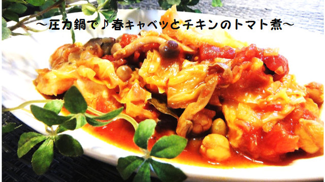 圧力鍋で 春キャベツとチキンのトマト煮 レシピ 作り方 By ちゃことゆうな クックパッド