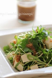 空心菜と香菜の豆腐サラダごまドレッシング