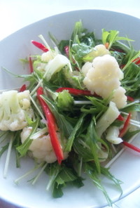簡単☆カリフラワーと水菜のサラダ