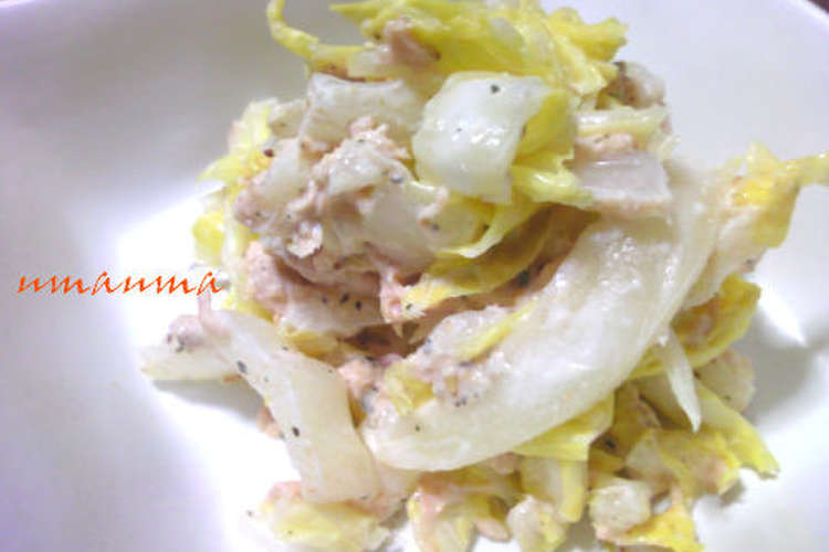 お酒のあてに 白菜とツナの胡麻マヨネーズ レシピ 作り方 By Umauam クックパッド 簡単おいしいみんなのレシピが363万品