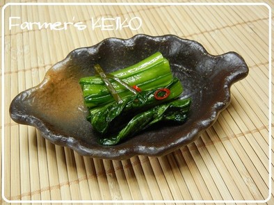 【農家のレシピ】小松菜の浅漬けの写真