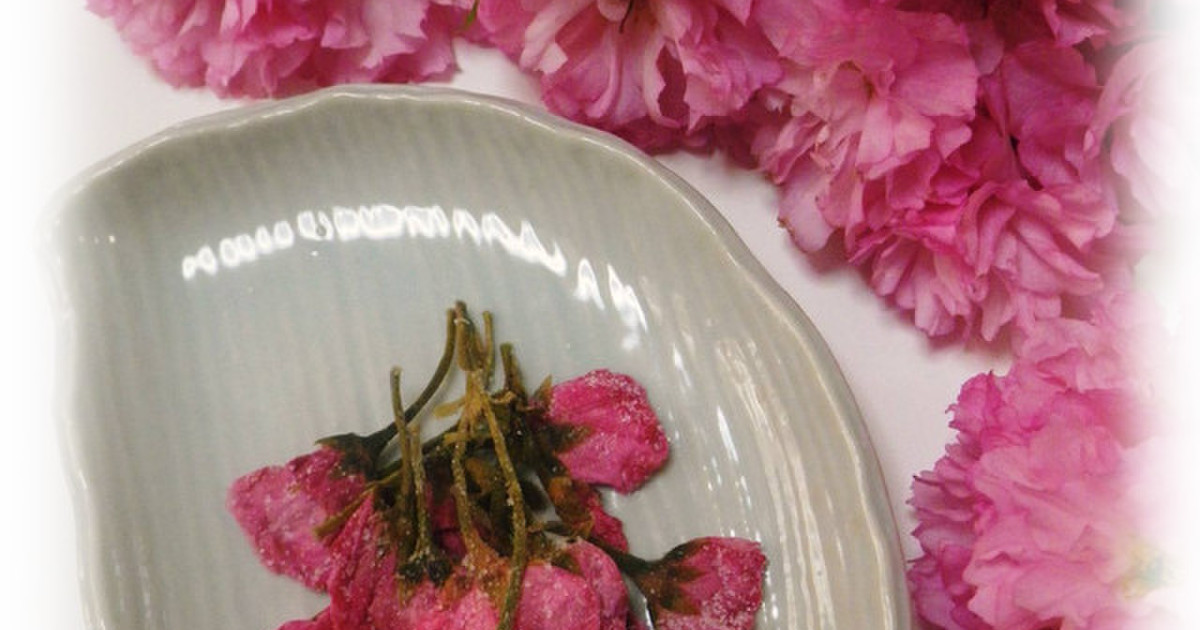 八重桜 桜の花の塩漬け レシピ 作り方 By Alice クックパッド 簡単おいしいみんなのレシピが350万品