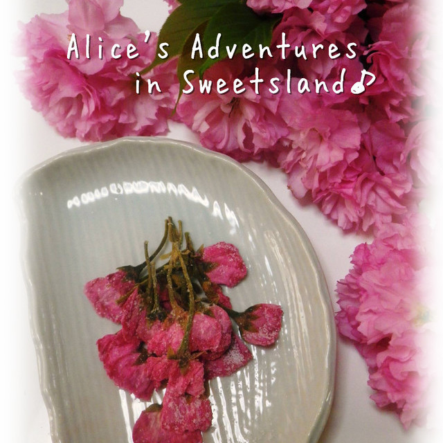 八重桜 桜の花の塩漬け レシピ 作り方 By Alice クックパッド