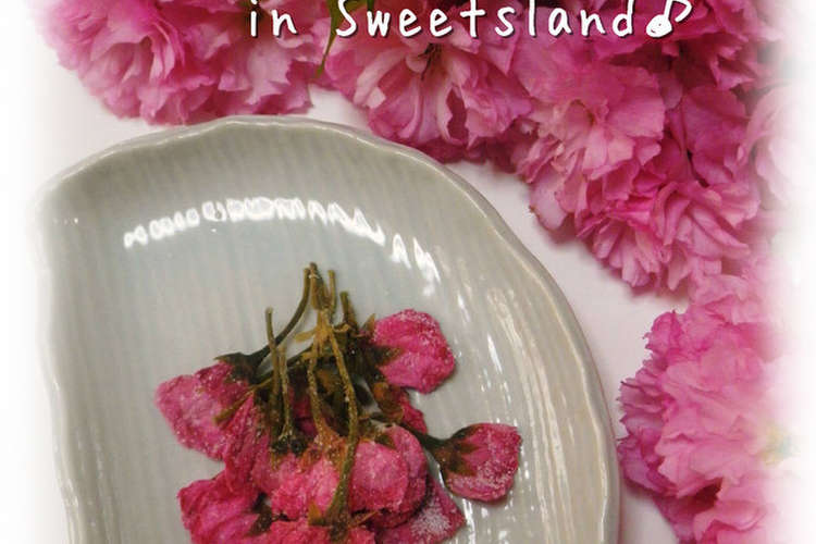 八重桜 桜の花の塩漬け レシピ 作り方 By Alice クックパッド 簡単おいしいみんなのレシピが367万品