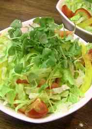 みんなが作ってる 間引きバジルのレシピ クックパッド 簡単おいしいみんなのレシピが374万品