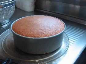 スポンジケーキ
