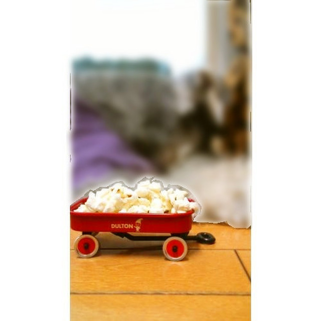 ポップコーン 犬用 レシピ 作り方 By フェンディママ クックパッド 簡単おいしいみんなのレシピが360万品