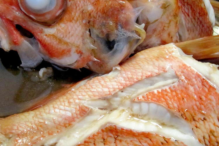 カサゴ こってり甘辛 簡単 魚の煮付け レシピ 作り方 By あおもみじ クックパッド 簡単おいしいみんなのレシピが362万品