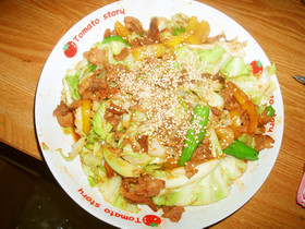 回鍋肉かんたん☆炒め