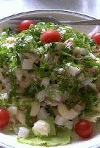 角切り野菜とマカロニのサラダ