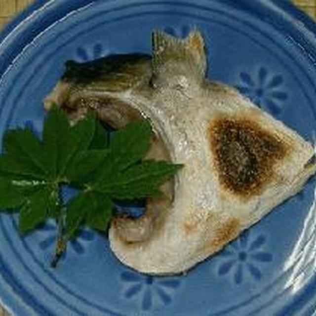 ヒラマサ 95 カマの塩焼き 95 レシピ 作り方 By 料理おじさん クックパッド