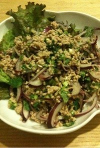 ラープ・ムー♢タイ風豚挽肉のサラダ