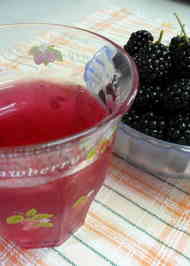 みんなが作ってる ブラックベリー 酢のレシピ クックパッド 簡単おいしいみんなのレシピが359万品