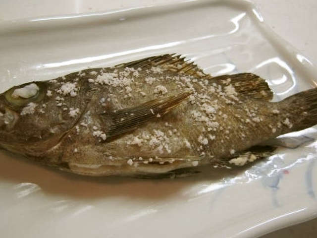 Ngagolak にしん 塩焼き 内臓