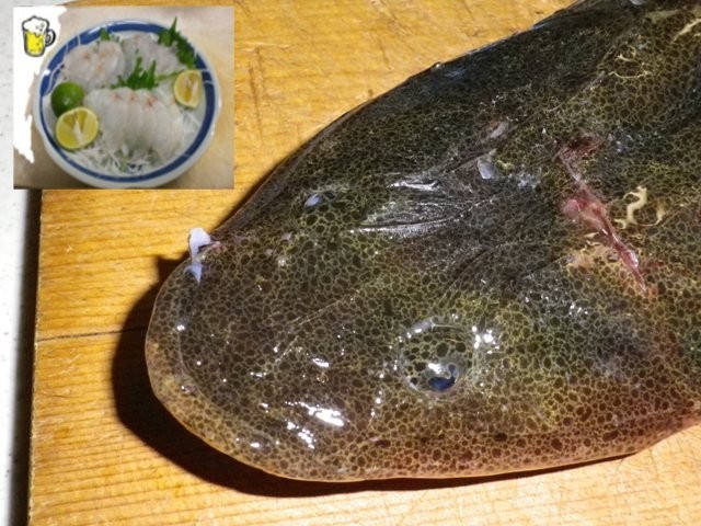 マゴチのさばき方 レシピ 作り方 By ゴイ51 クックパッド 簡単おいしいみんなのレシピが376万品 マゴチのさばき方 レシピ 作り方 By ゴイ51 クックパッド 簡単おいしいみんなのレシピが376万品