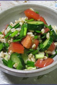 古代麦と夏野菜のサラダ