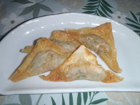 ネギ嫌いも食べるネギとツナの包み揚げ