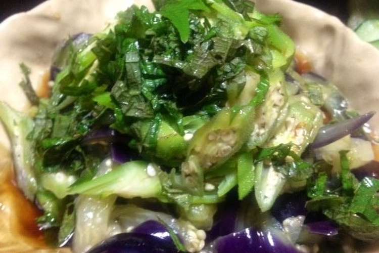 プレ農家めし 簡単冷たい なすそうめん レシピ 作り方 By 無農薬野菜もうり農園 クックパッド 簡単おいしいみんなのレシピが360万品