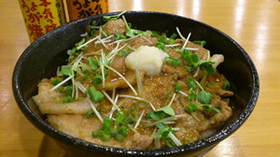ガツンとニンニクが効いたガッツリ丼