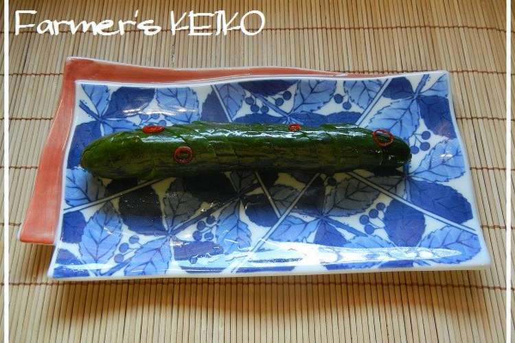 農家のレシピ 丸ごと1本キュウリの漬物 レシピ 作り方 By Farmersk クックパッド 簡単おいしいみんなのレシピが361万品