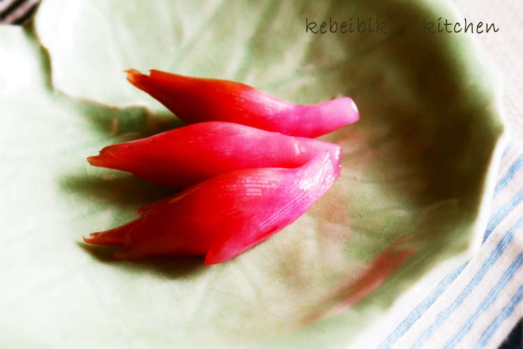 茗荷の赤梅酢漬け レシピ 作り方 By Kebeibiko クックパッド 簡単おいしいみんなのレシピが368万品