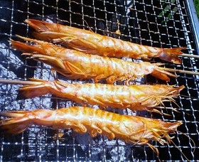 BBQや即席肴に。簡単!車海老の塩焼き。