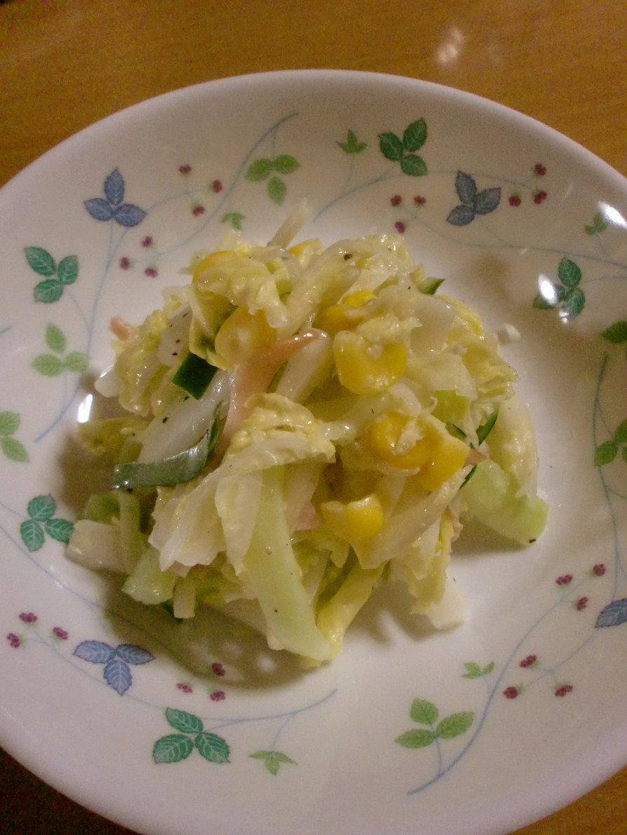 冬のサラダ◎白菜のコールスローの画像