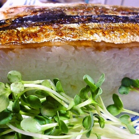 蒲焼秋刀魚の押し寿司