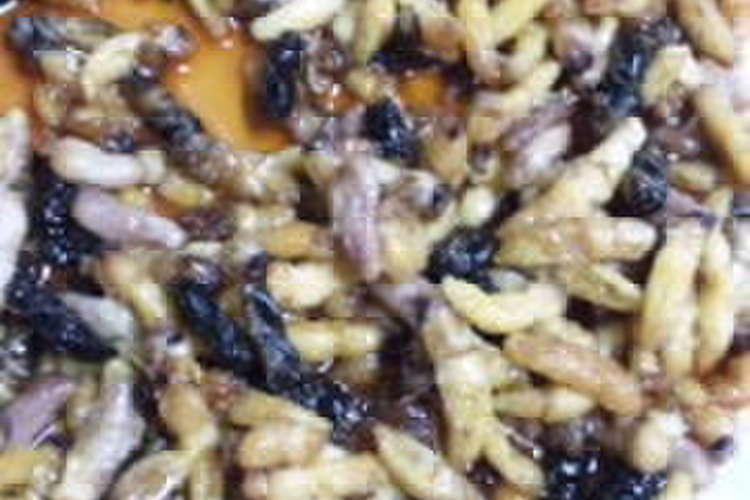 作り方 蜂の巣 の