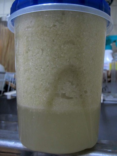 キャベツで作る酵素ジュースの写真