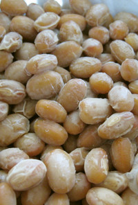 粉末納豆菌で作る自家製納豆