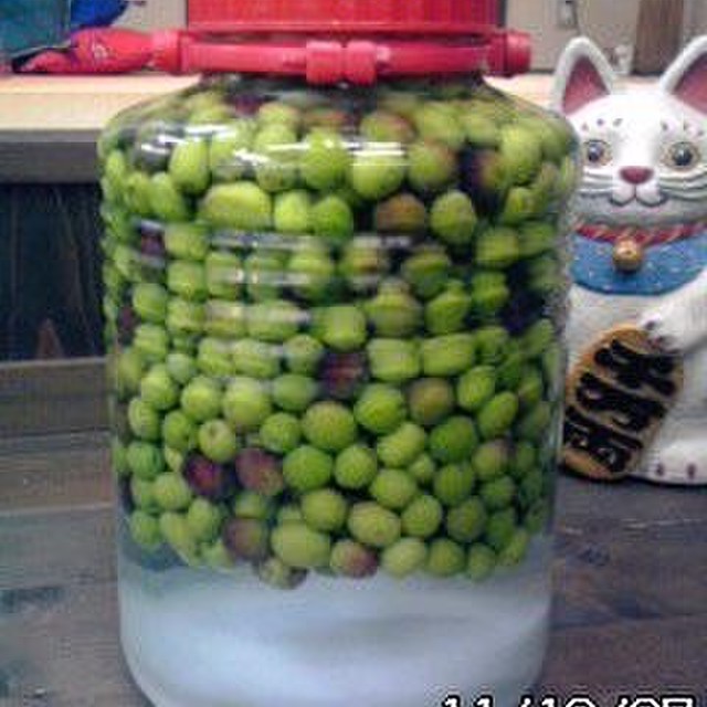 結果は半年後 オリーブの塩漬け実験 レシピ 作り方 By Nekoyadayo クックパッド 簡単おいしいみんなのレシピが357万品