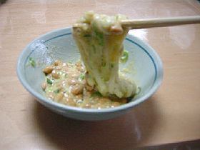 釜揚げうどん 納豆まぶし