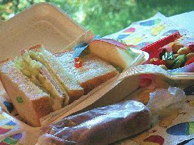 バガス・フードパックのサンドイッチ弁当　●for女子高生の画像