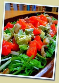 水菜とアボカドとサーモンのカラフルサラダ