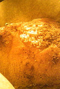 カレイの山椒岩塩焼き