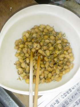 給食レシピPart2 ~大豆とちりめんじゃこのゴマがらめ~