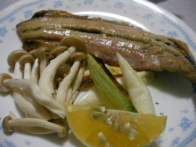 秋刀魚の一夜干しの写真