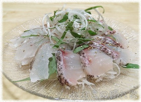 オニカサゴとイシナギの刺身サラダ