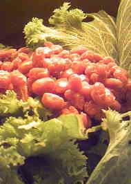 みんなが作ってる マスタードグリーンのレシピ クックパッド 簡単おいしいみんなのレシピが361万品