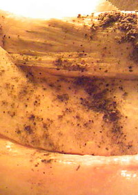鮭の山椒塩焼き