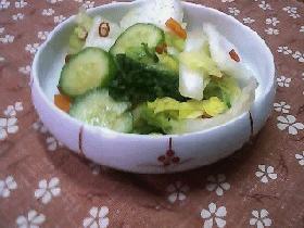 白菜の浅漬け☆柚子風味