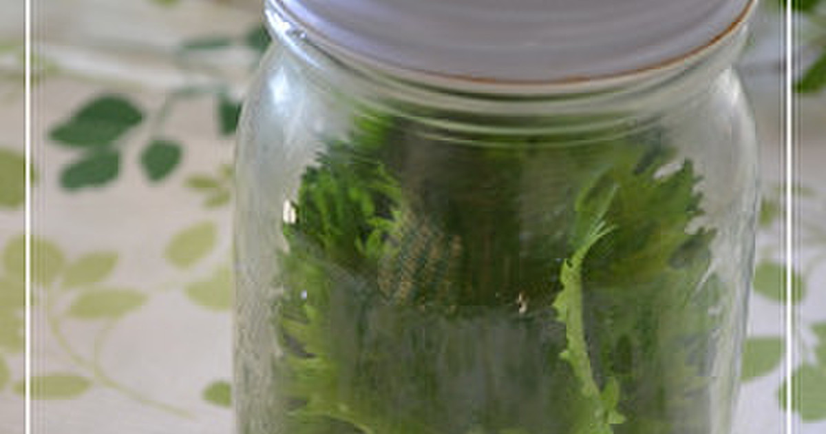 長持ち 大葉の保存方法 レシピ 作り方 By Hiroマンマ クックパッド 簡単おいしいみんなのレシピが352万品